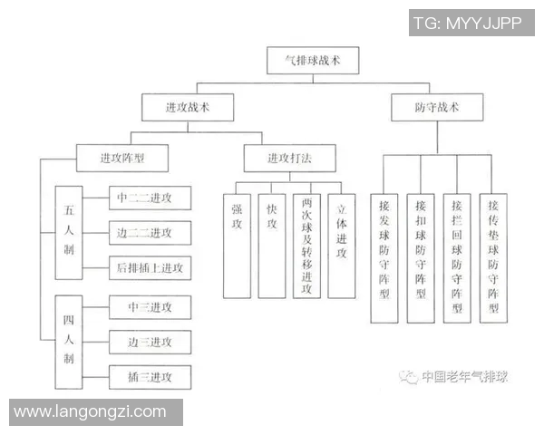 北京排球队整体压制体系的战术解析与实战应用探讨